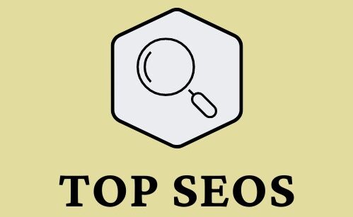 Top SEOs logo